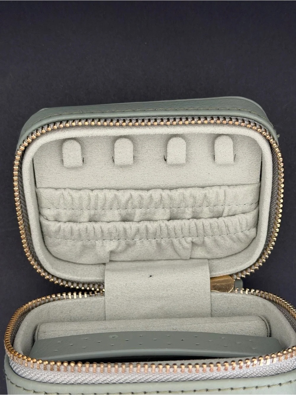 GLDN Leather Jewelry Case in Light Green
